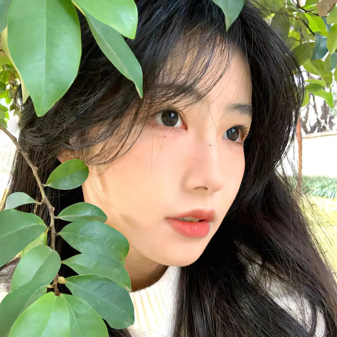 遗忘的时光